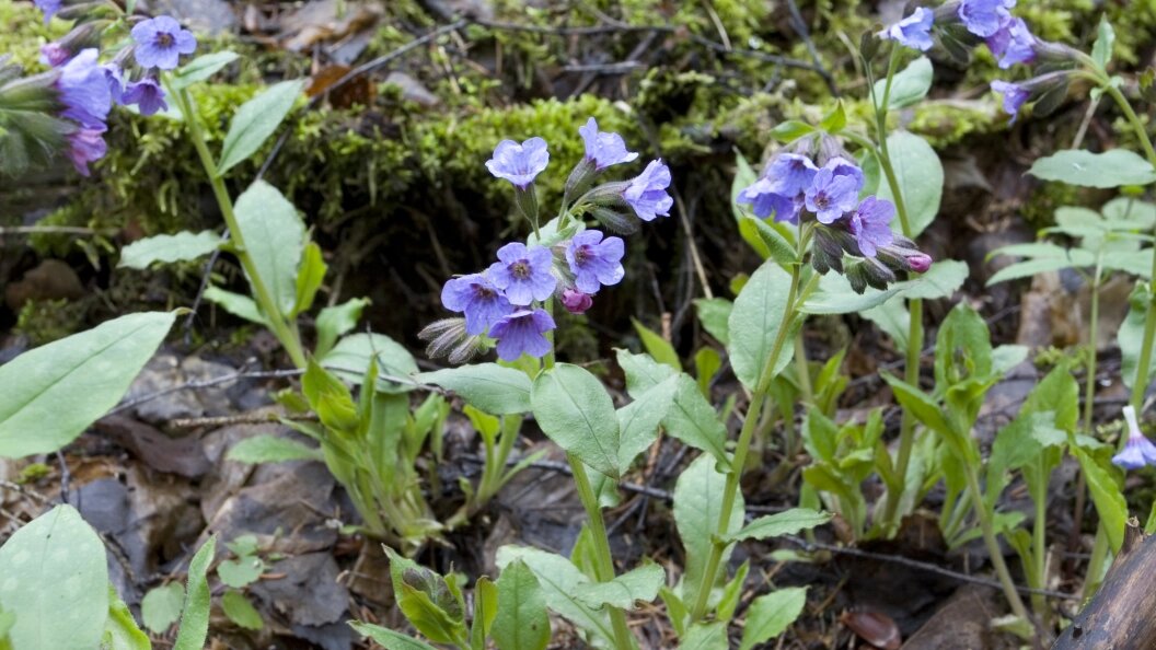    ФОТО: © KONSTANTIN MIKHAILOV/ GLOBAL LOOK PRESS