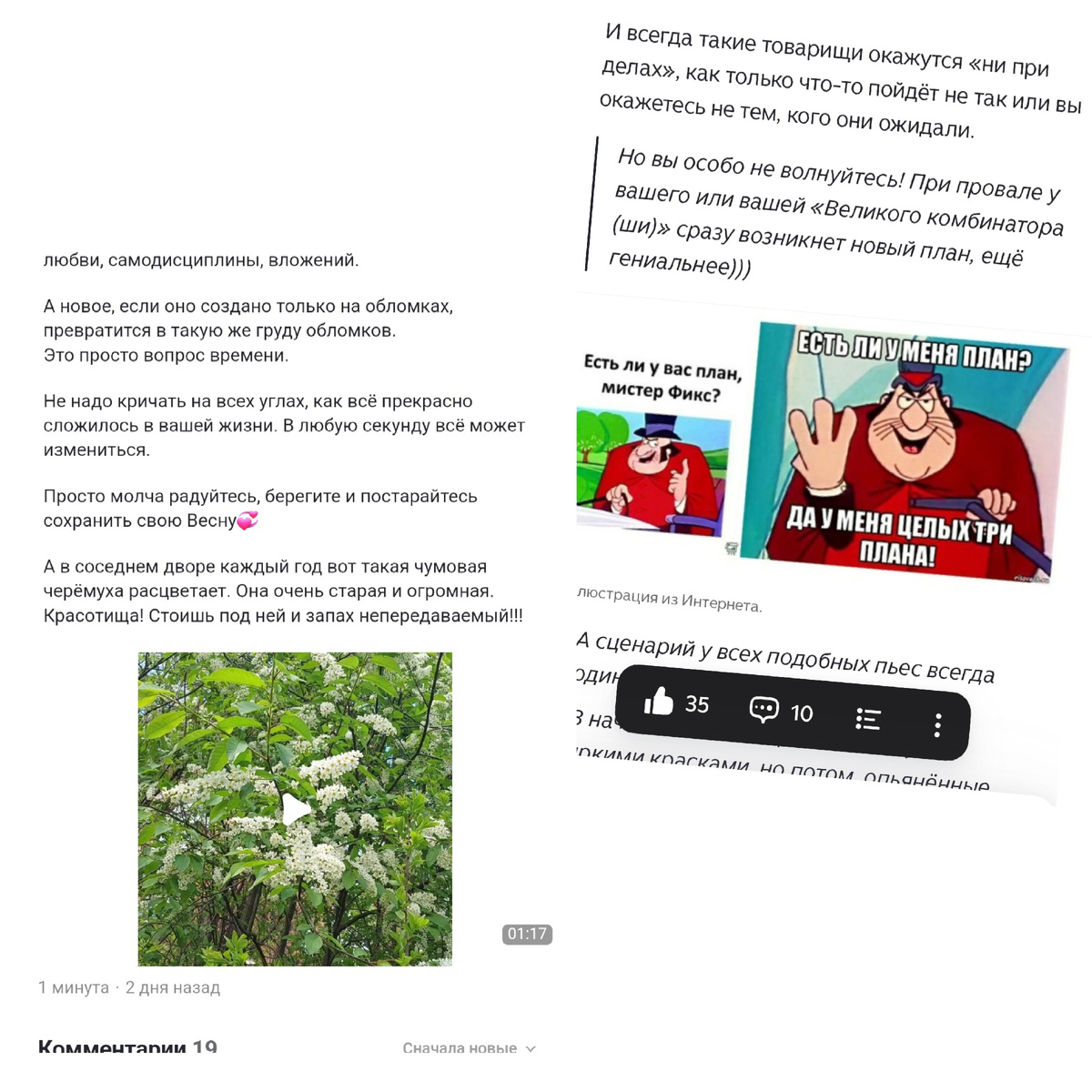 Фото автора.