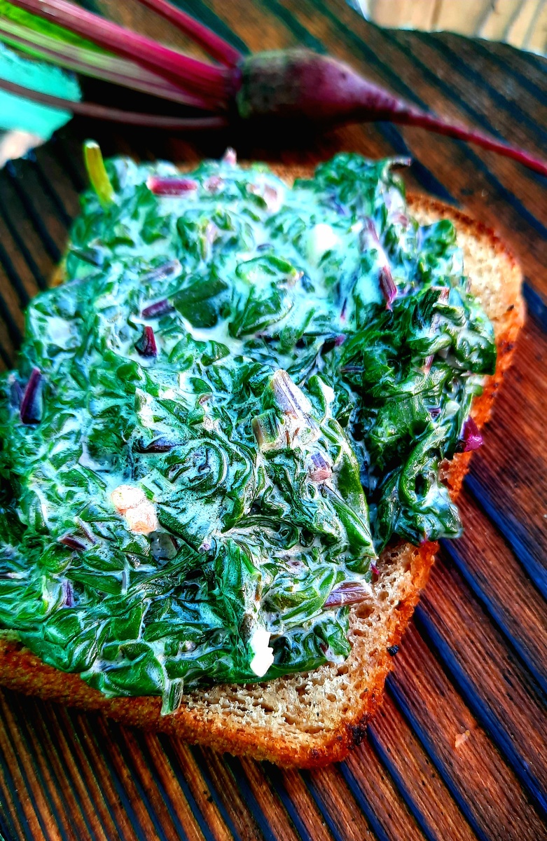 Фото автора. Вот это я понимаю - "зелёный борщ")