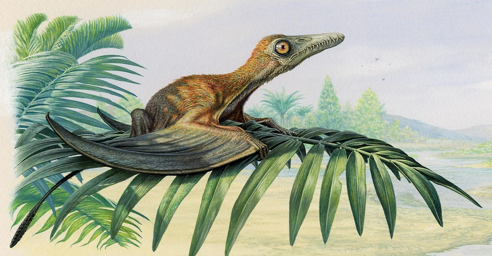 Реконструкция Джона Сиббика