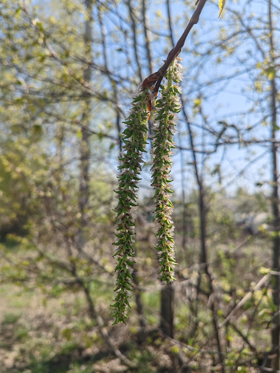 Фото автора канала. 