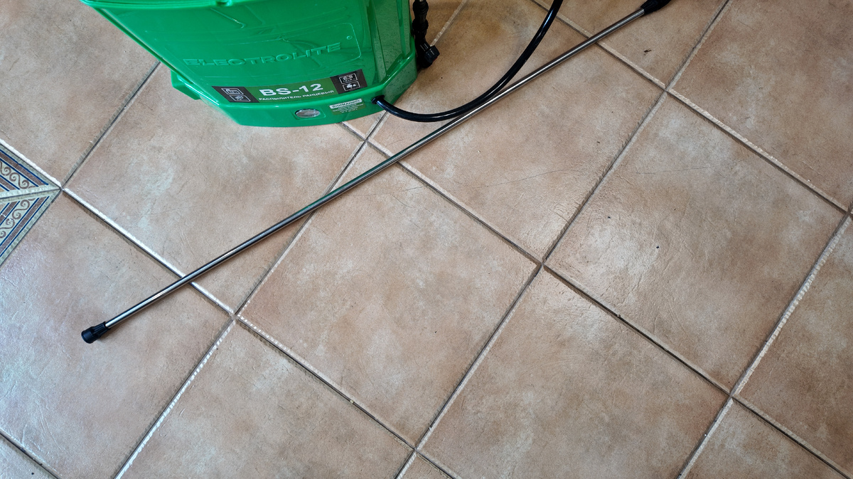 фото автора.  