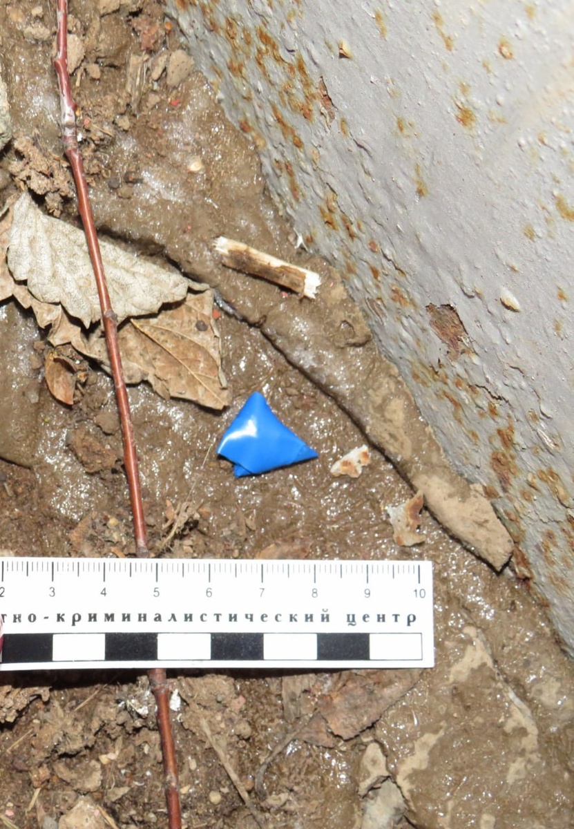  📷    В Бугуруслане задержан иностранец-закладчик с крупной партией метадона Марина Шарт