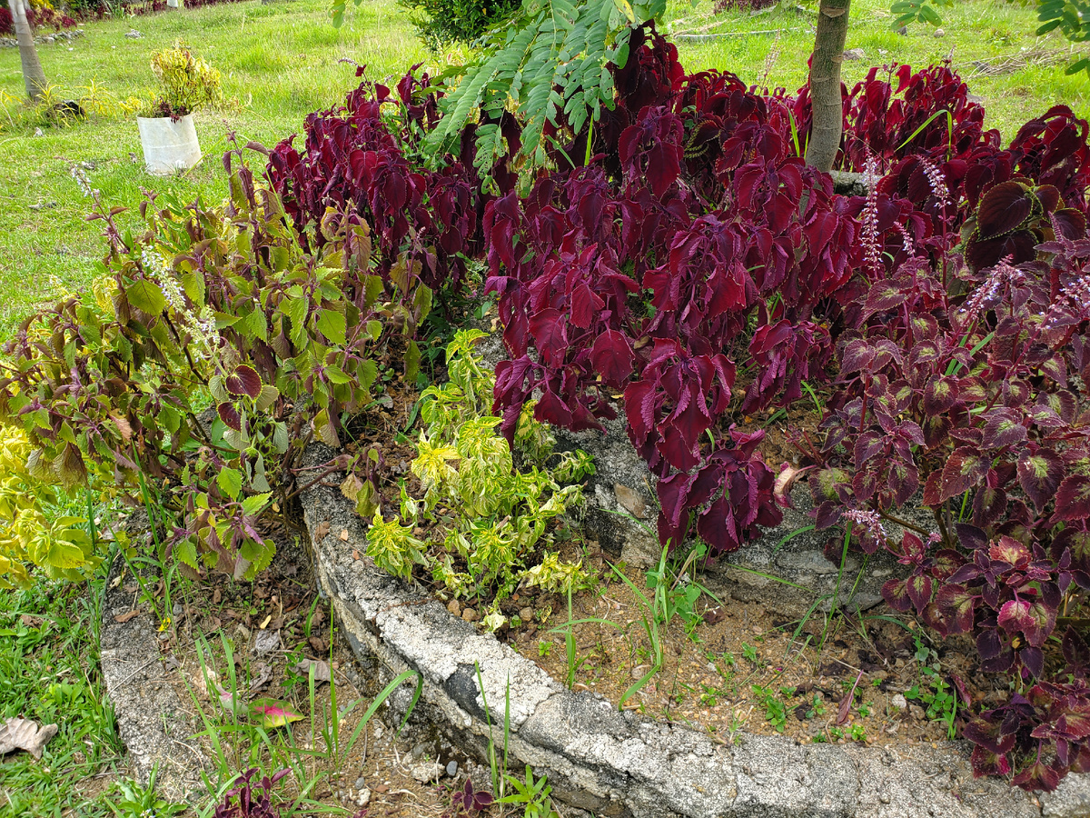 Вчерашнее настроение.