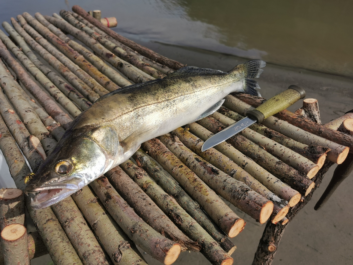 Утром, перед отъездом домой, можно почистить рыбу.