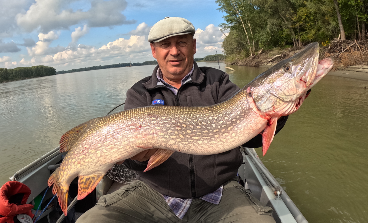 Щука на спиннинг.