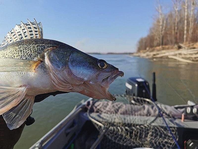 Судак. Осень. Обь.