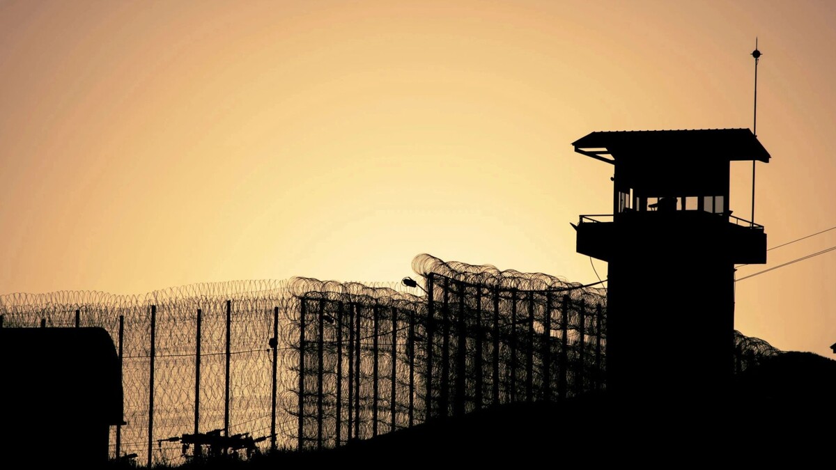    Фото: Georgios Tsichlis/Shutterstock/Fotodom