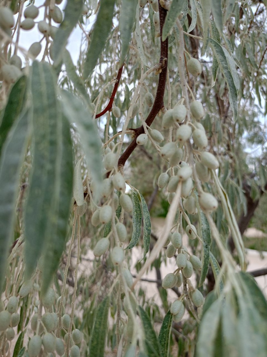 Фото сделано по дороге на пляж в то самое маленькое путешествие))