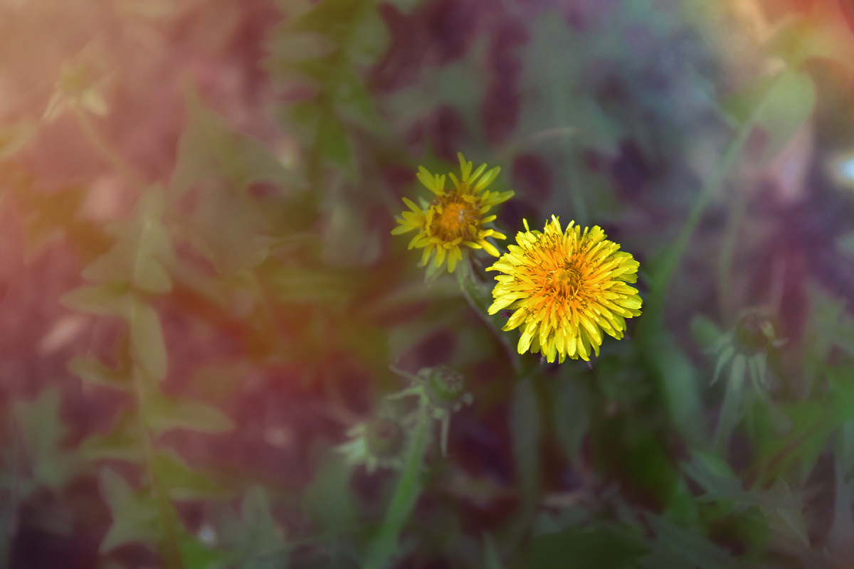 Копирование текста и фотографий запрещено. Контент является интеллектуальной собственностью. Защищён авторским правом.