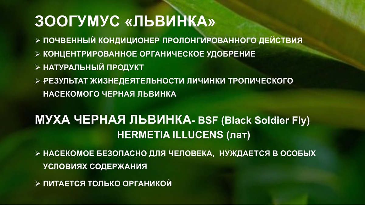Зоогумус «Львинка» Почвенный кондиционер пролонгированного действия.