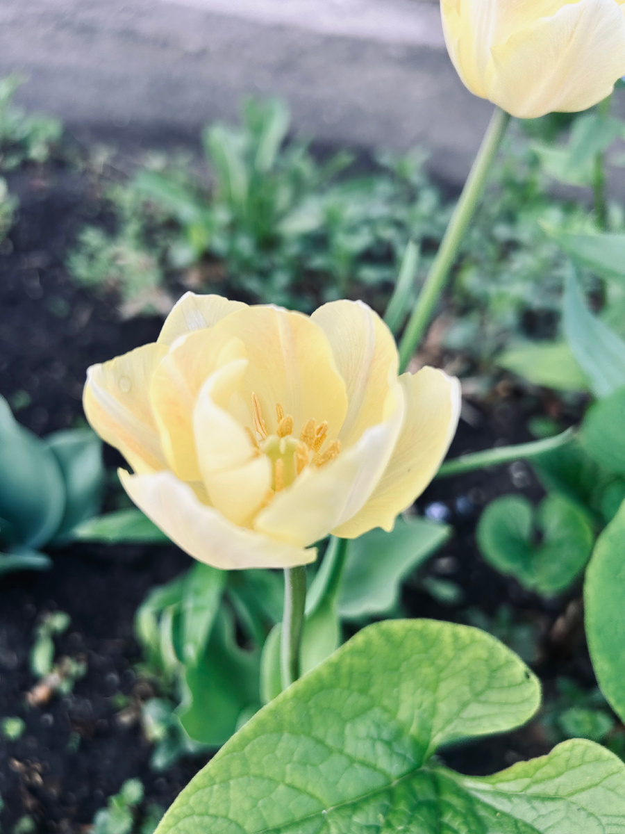 Фотография автора канала.