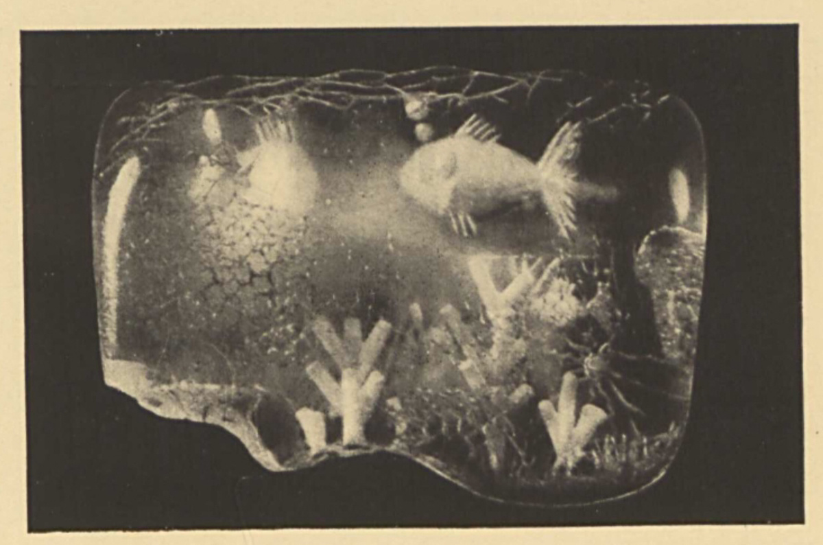 Ф. Даукантас. Рыбки. Янтарь, негативная гравировка. 1954