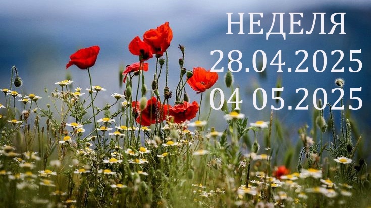 Природа. Фото ru.pinterest.com