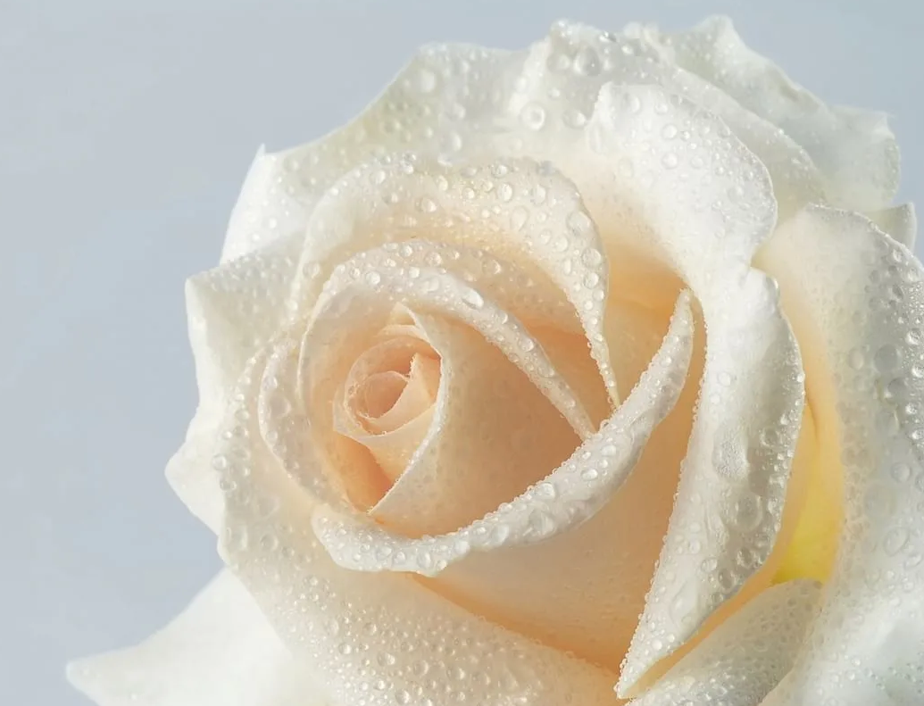 Из интернета.