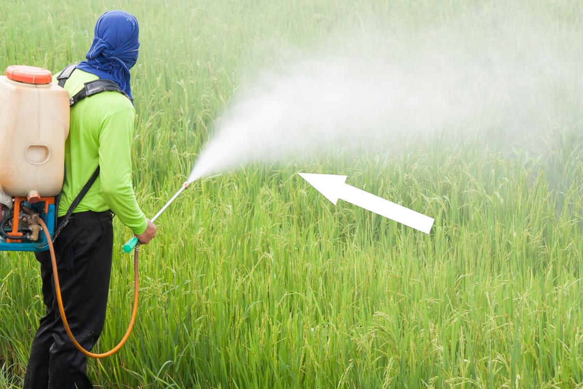    Запрет ДДТ Как спасение насекомых обернулось трагедией для миллионов