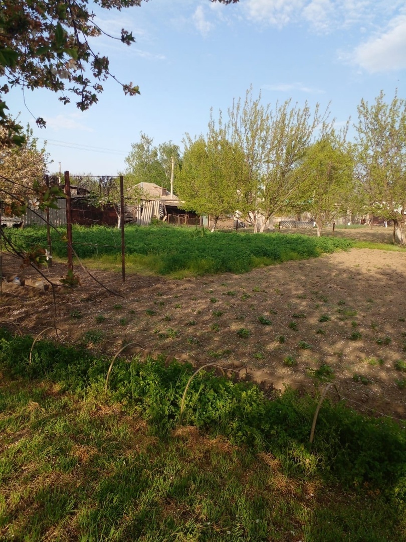    Фото из архива Progorod