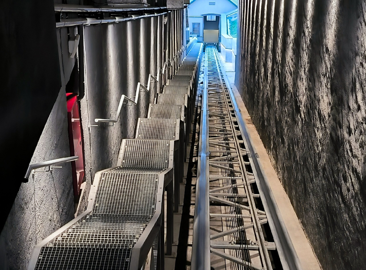 Автор фотографии: Лысенкова О.Н.