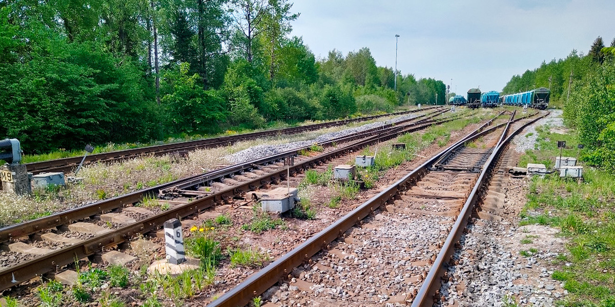 © АО «Ленгипротранс» / lgt.ru (Пути станции Сала)