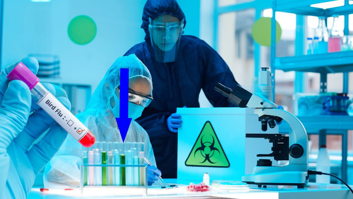    Вирусы созданы в лабораториях Правда о рукотворных Эболе и ВИЧ