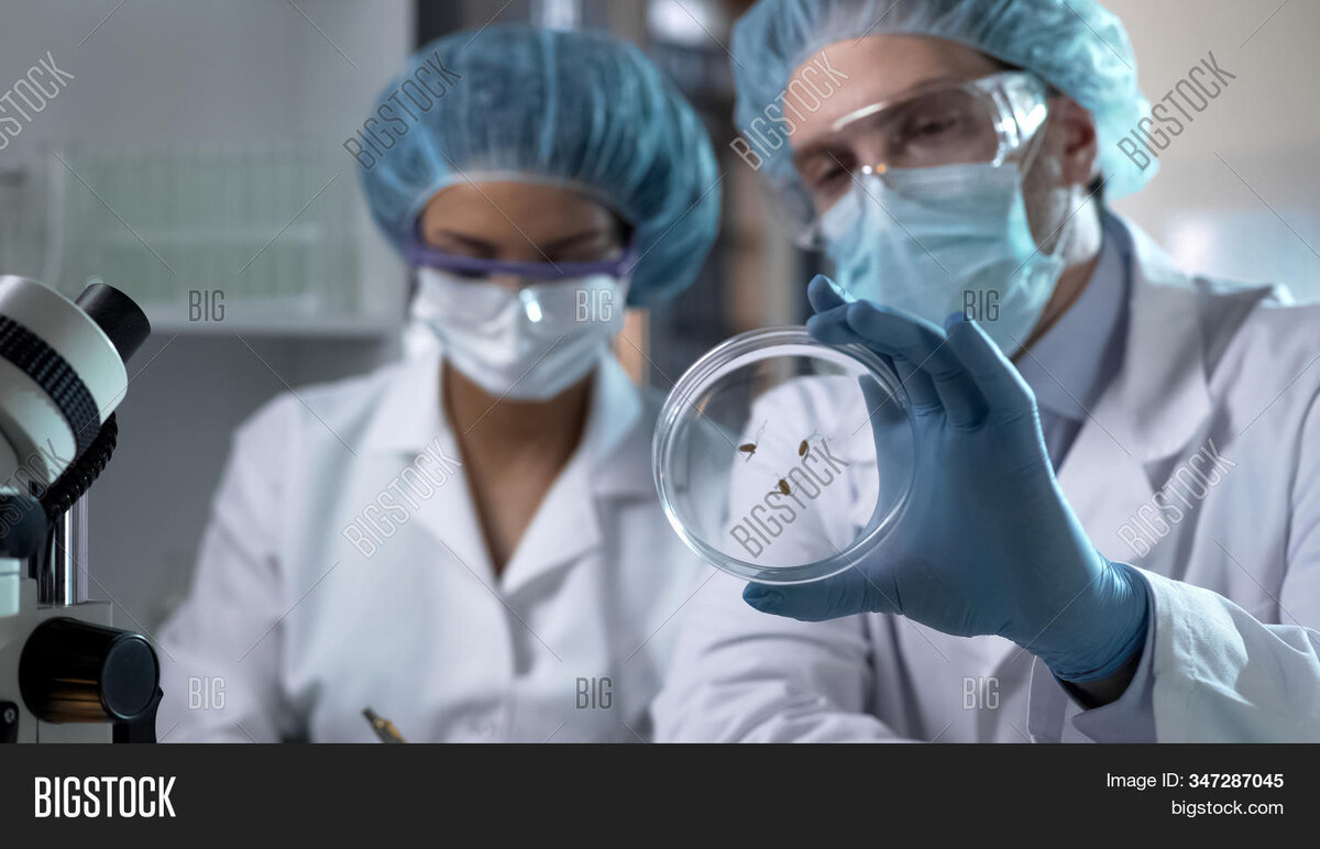    Вирусы созданы в лабораториях Правда о рукотворных Эболе и ВИЧ