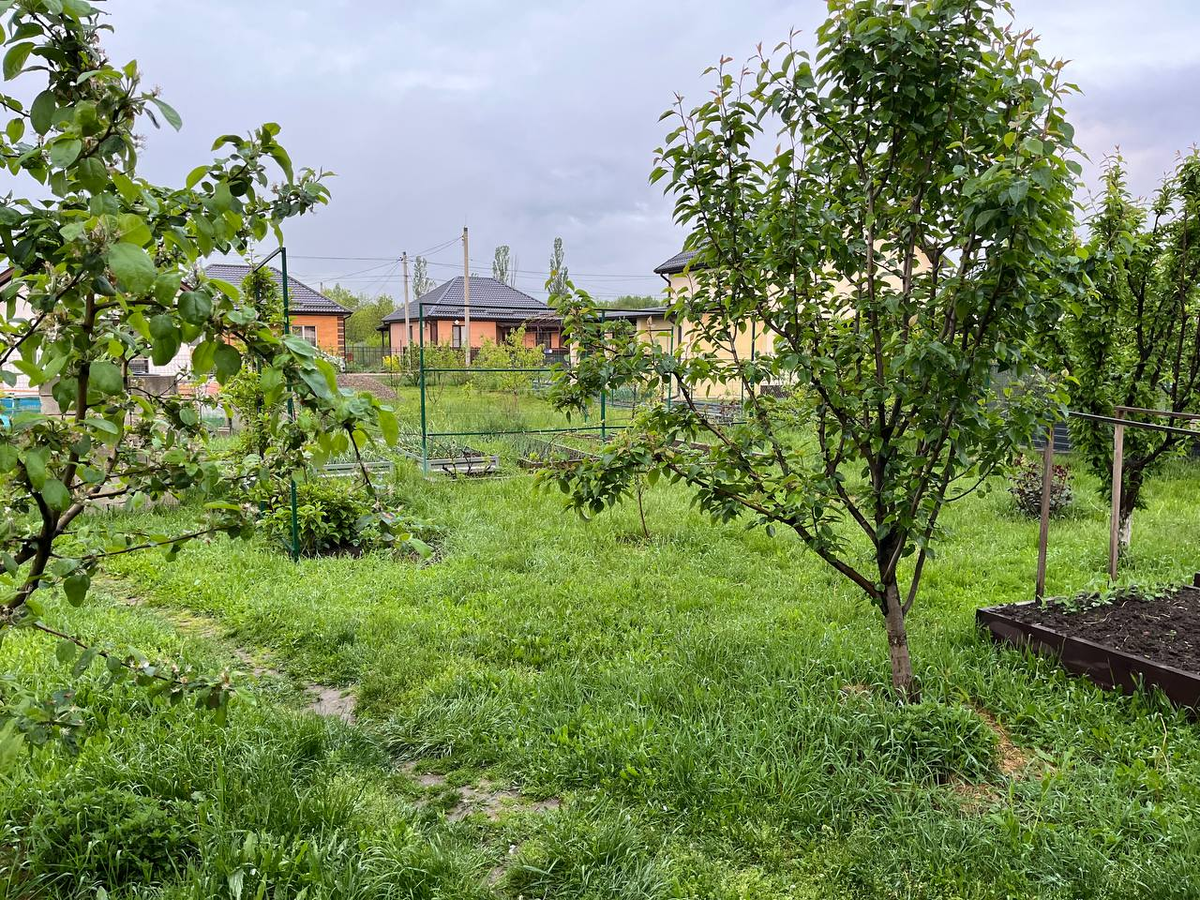 Краснодарский край Белореченский район апрель