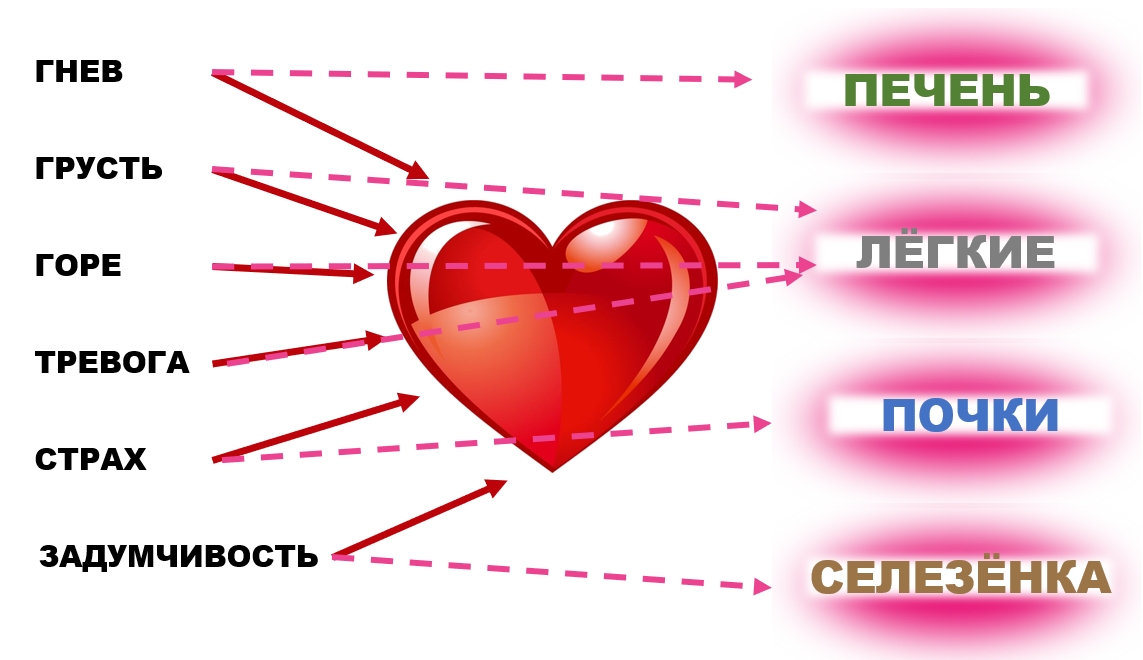 Любая эмоция оставляет след в сердце, так как проходит через него.