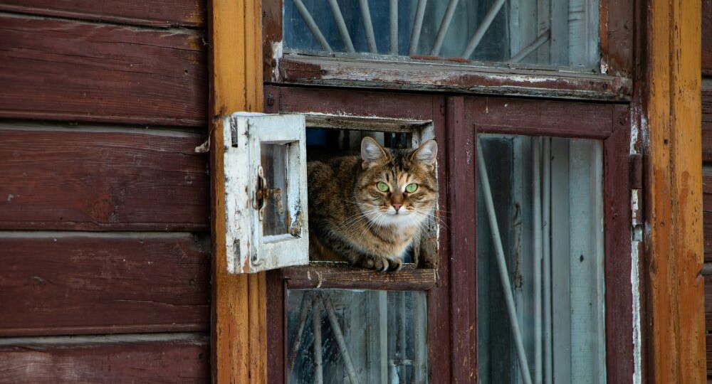 Народные приметы на 27 апреля: чего нельзя делать на Антипасху?