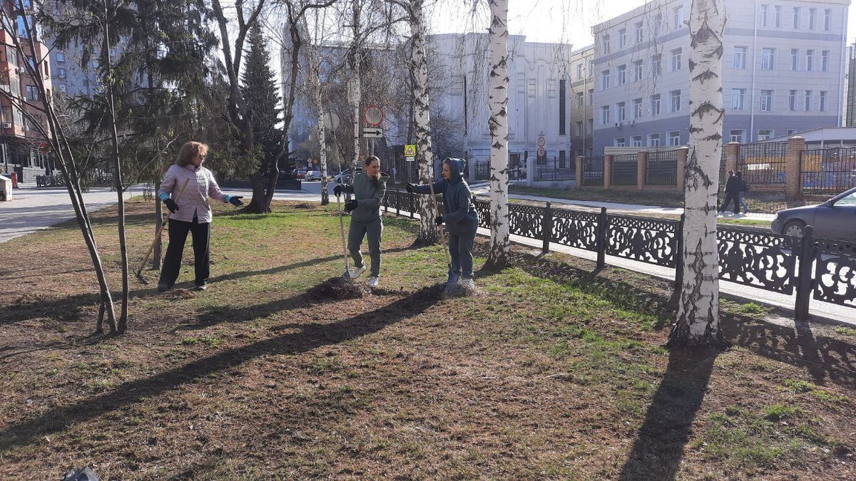    Фото: мэрия Новосибирска