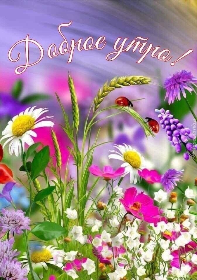 Фото из открытого источника в интернете 