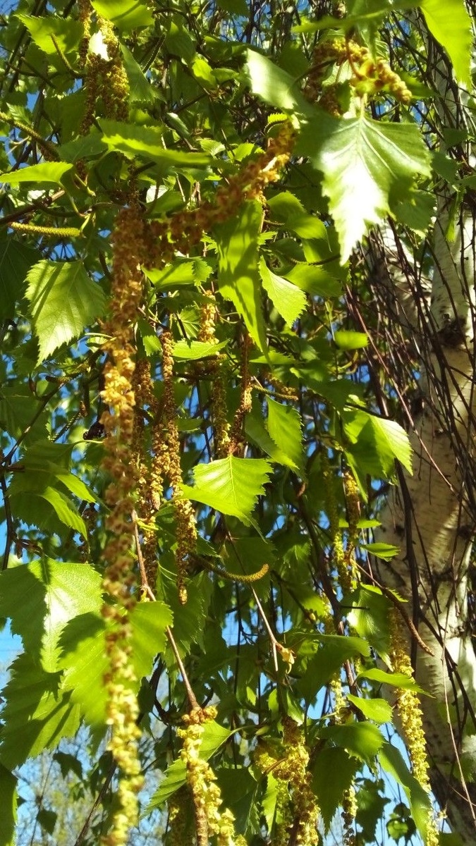 Фото из соц.сетей