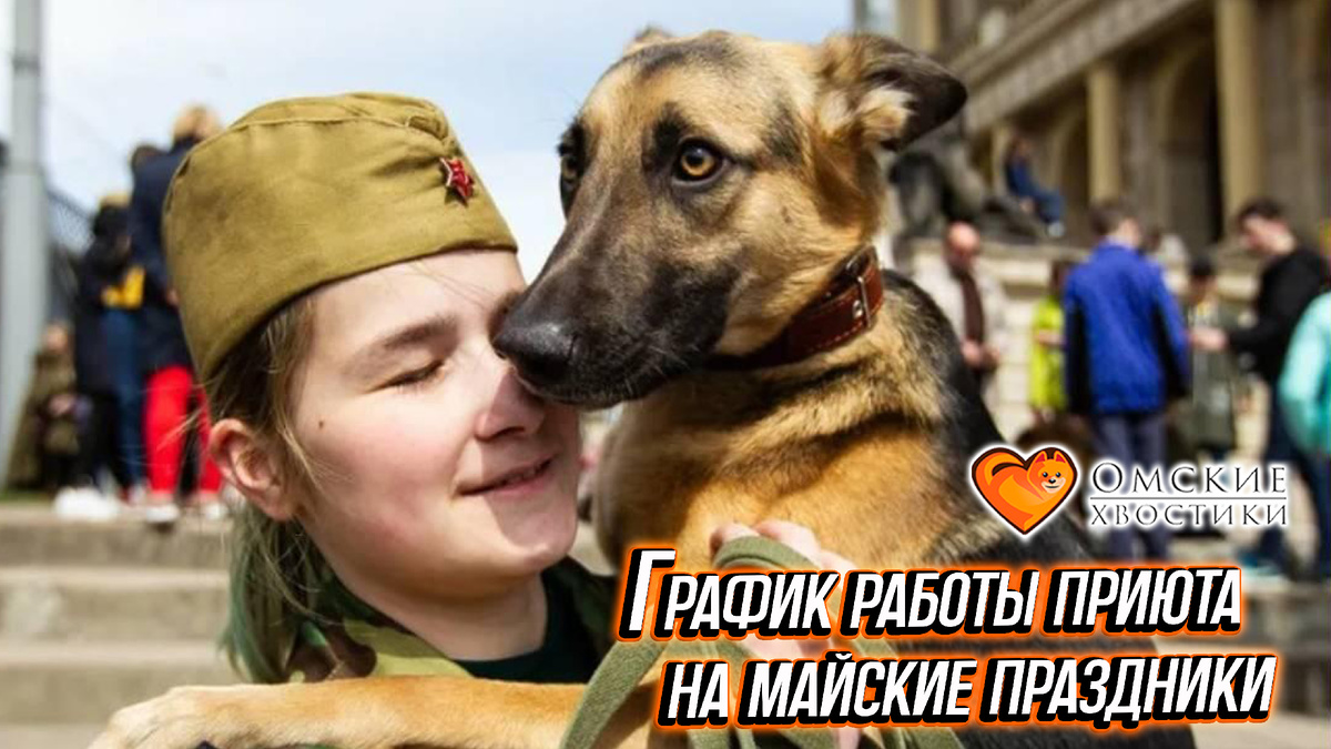 Посещение приюта для бездомных животных — это не только добрый поступок, но и возможность стать чуть счастливее самому.