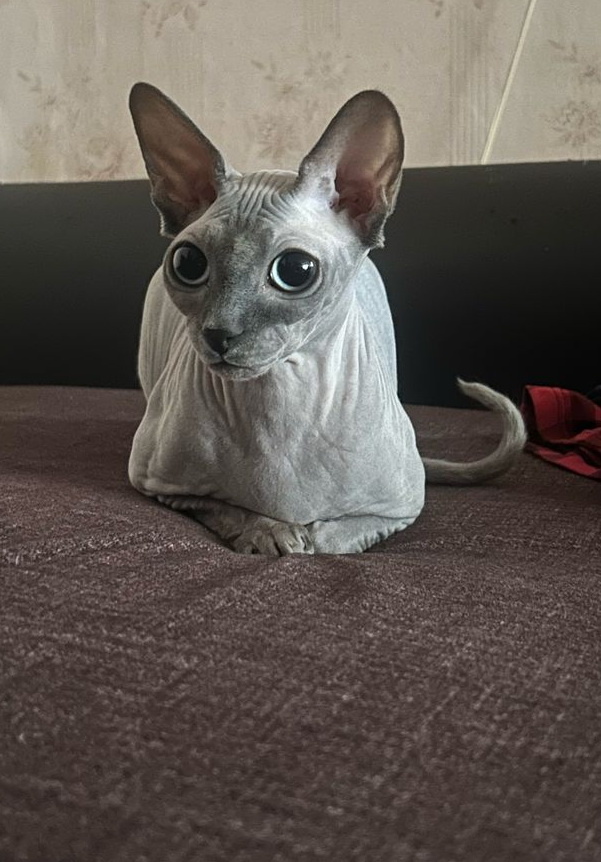 Баняша делает прививки ежегодно