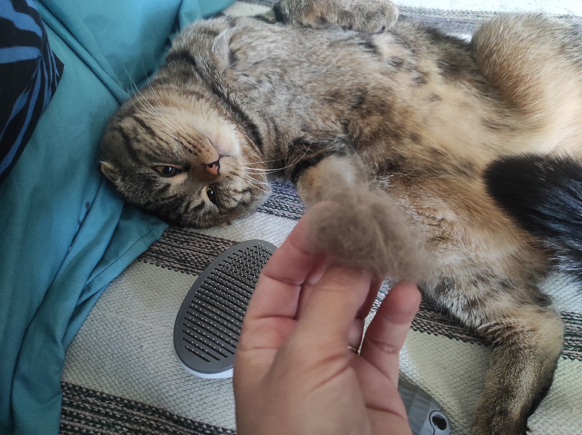 Маленькое облачко шерсти 