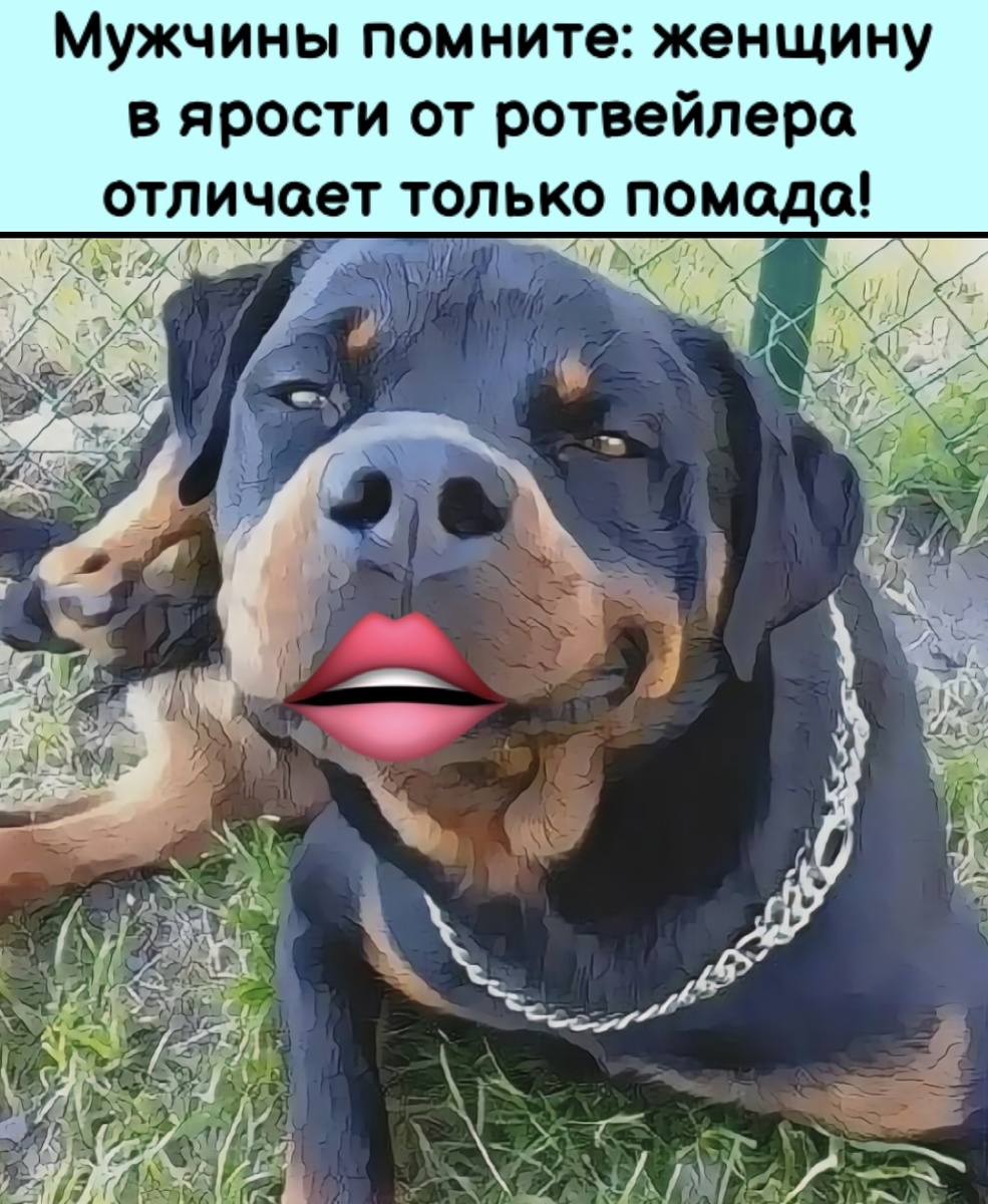 -8