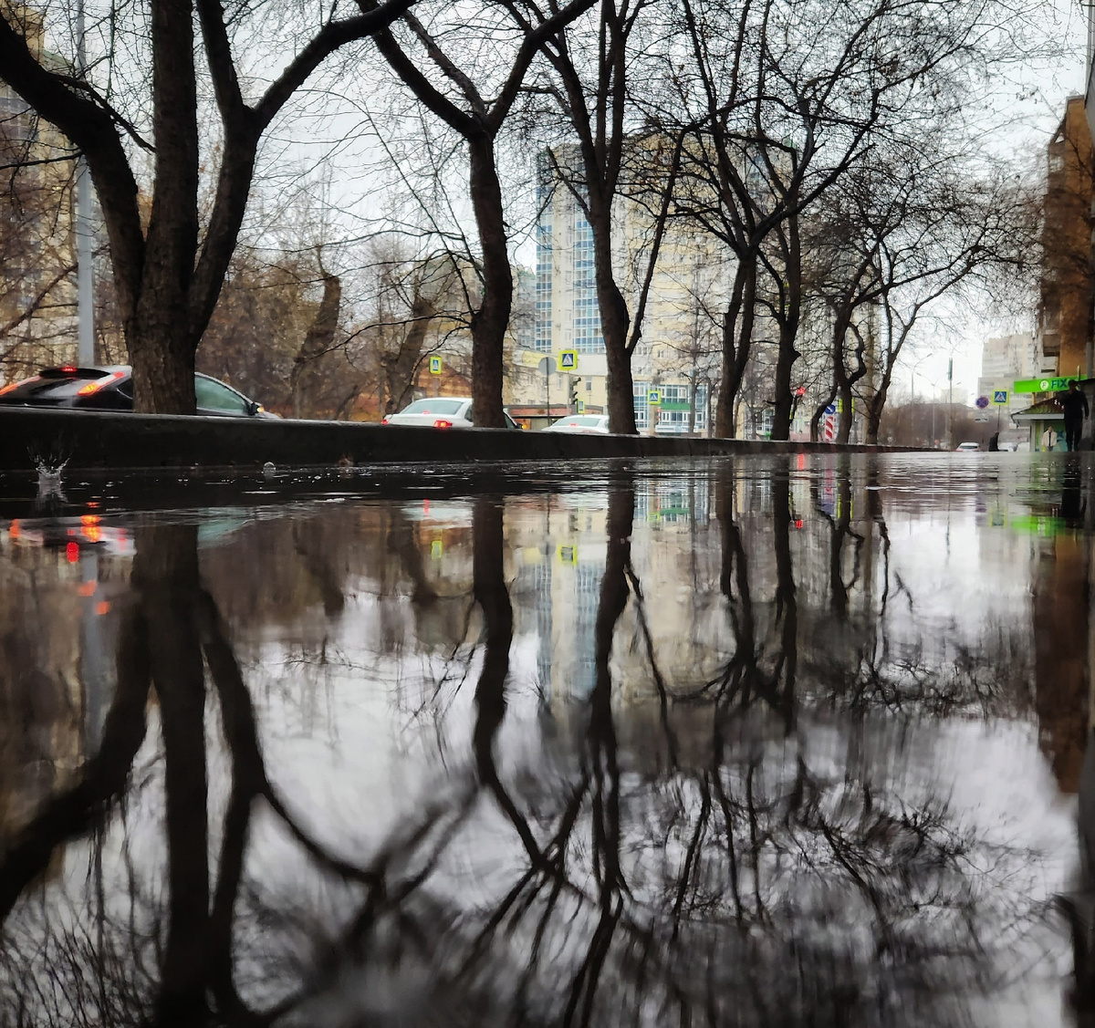 Фото: Наталья Букина