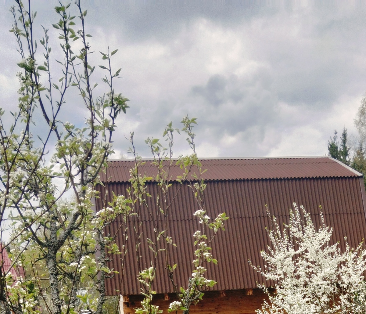 Фото автора. 