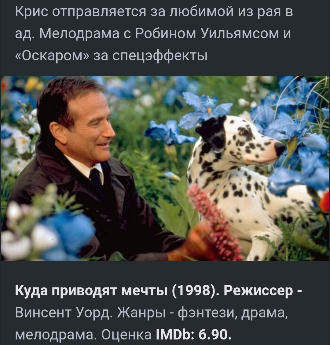 По фильму, наши животные нас тоже там встретят, если они в нашей душе, они притянутся 