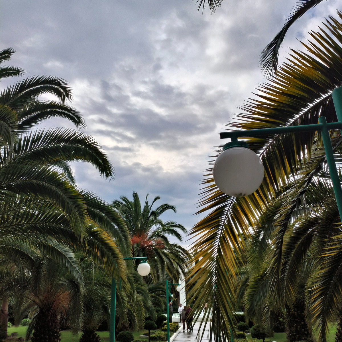 "Самшитовая роща "