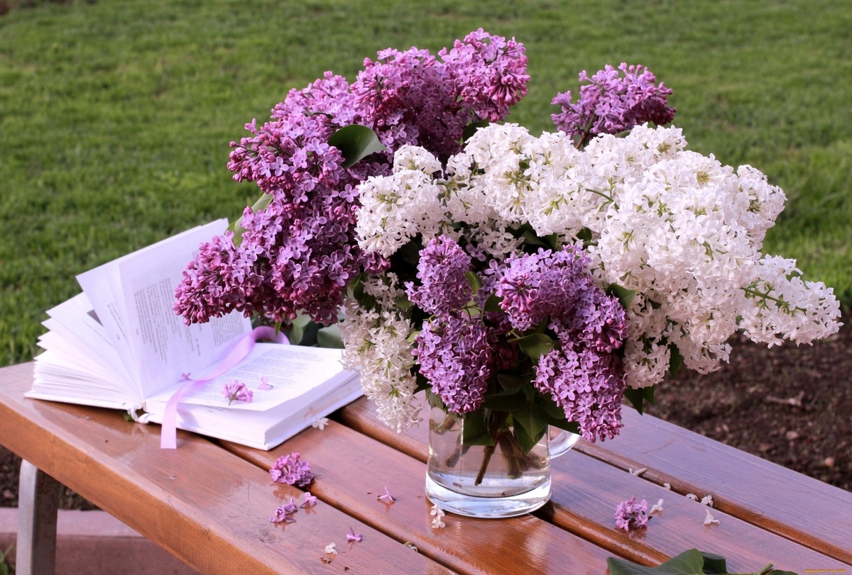 Из открытого доступа в сети