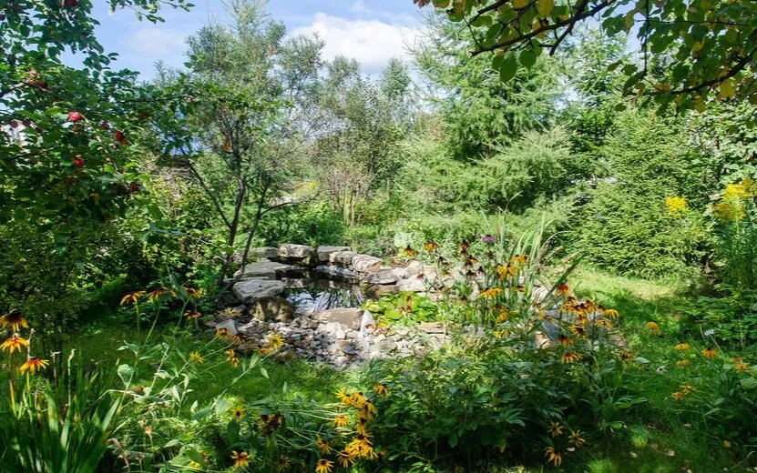    Если в мае выпал снег: как спасти растения от внезапных заморозков