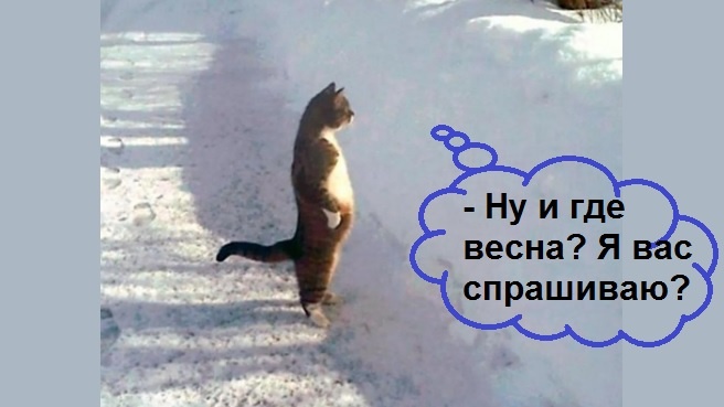 /картинки из доступного фонда Яндекс.Картинки/