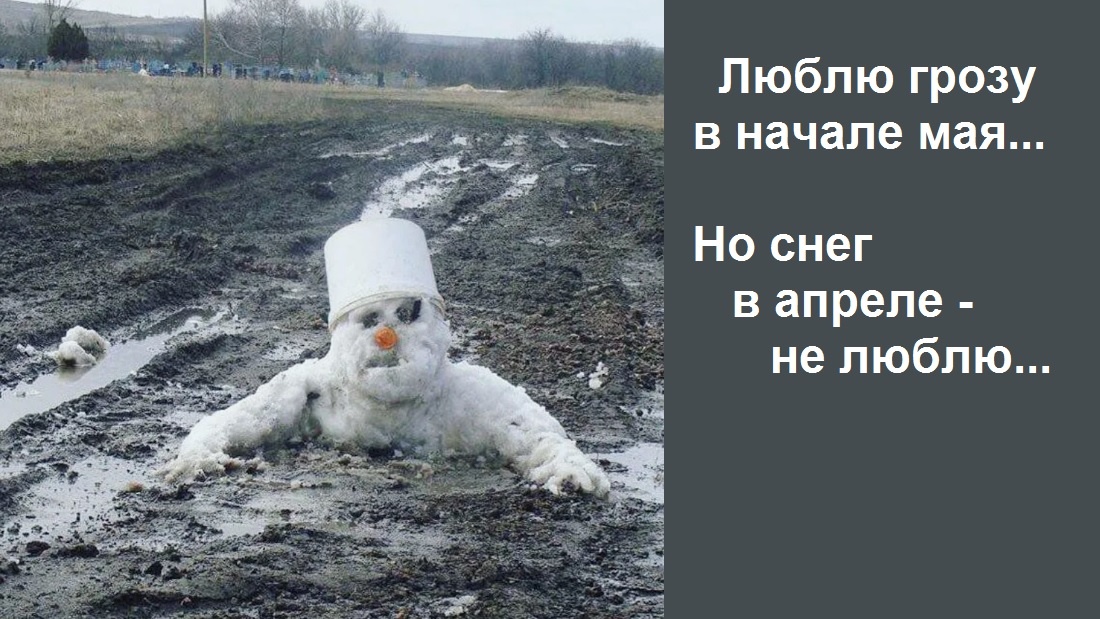 /картинки из доступного фонда Яндекс.Картинки/