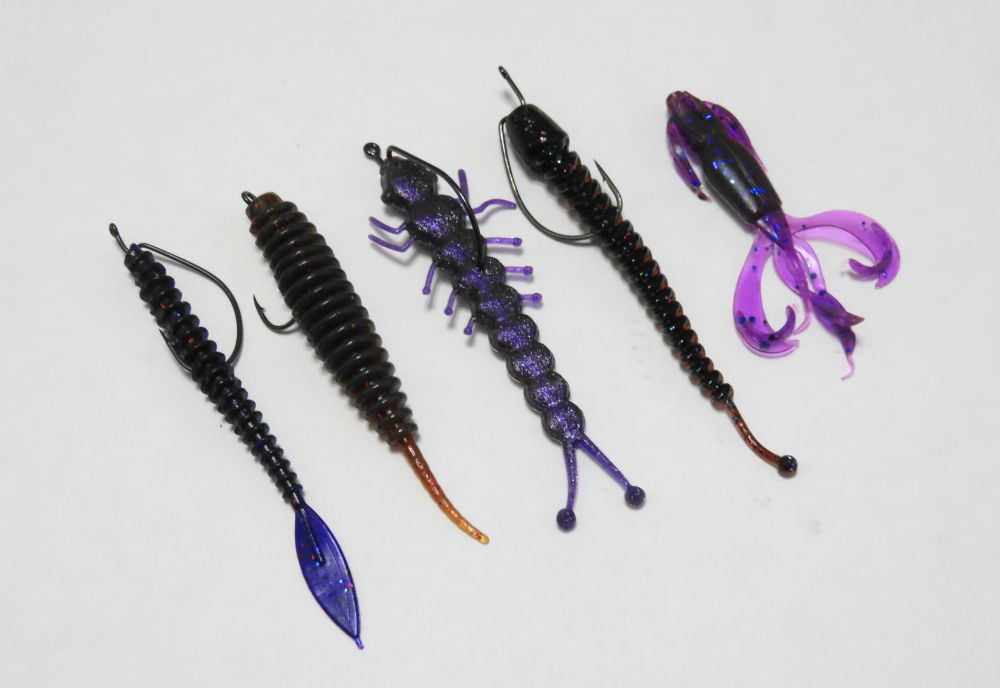 Фото с сайта: https://sfish.ru/uploads/_pages/2298/2-4.jpg