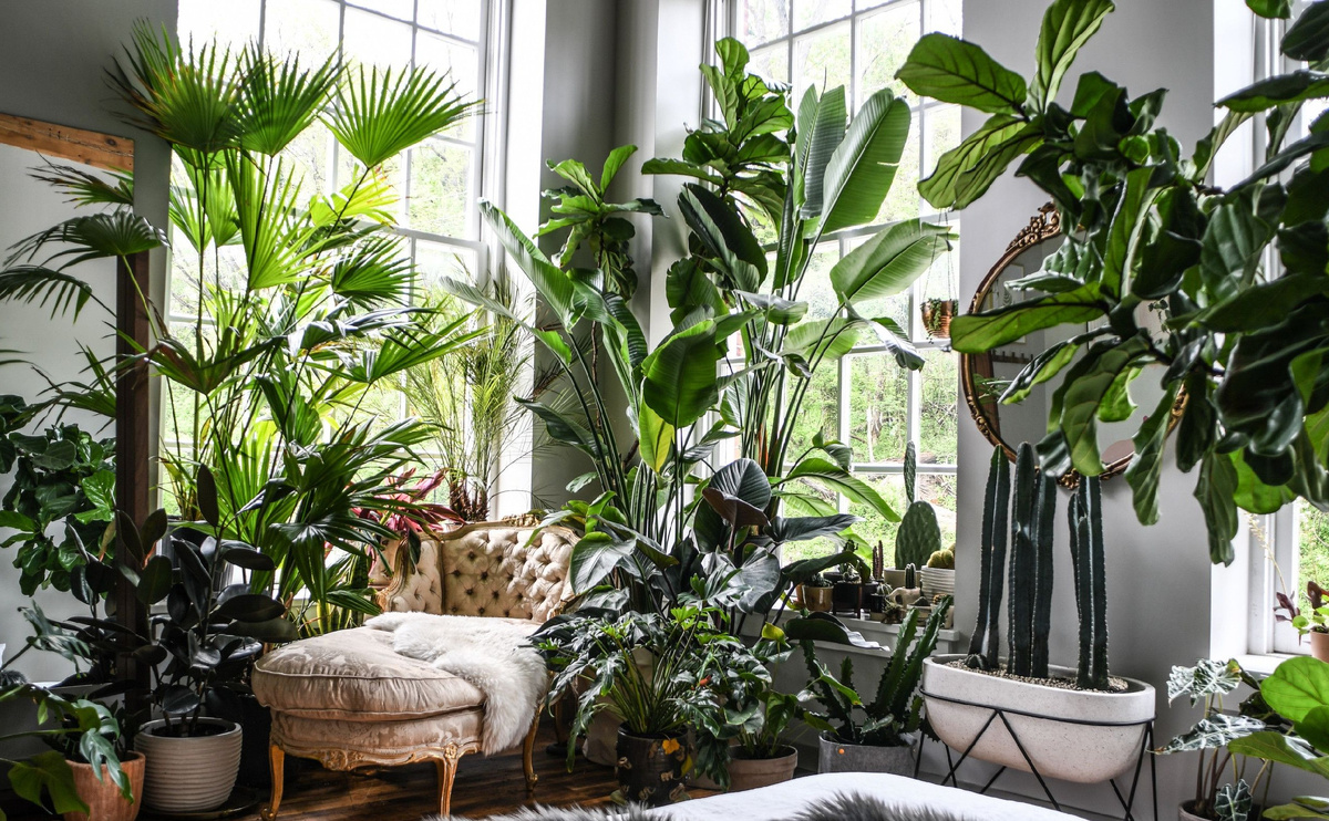 Когда растения становятся главными героями интерьера