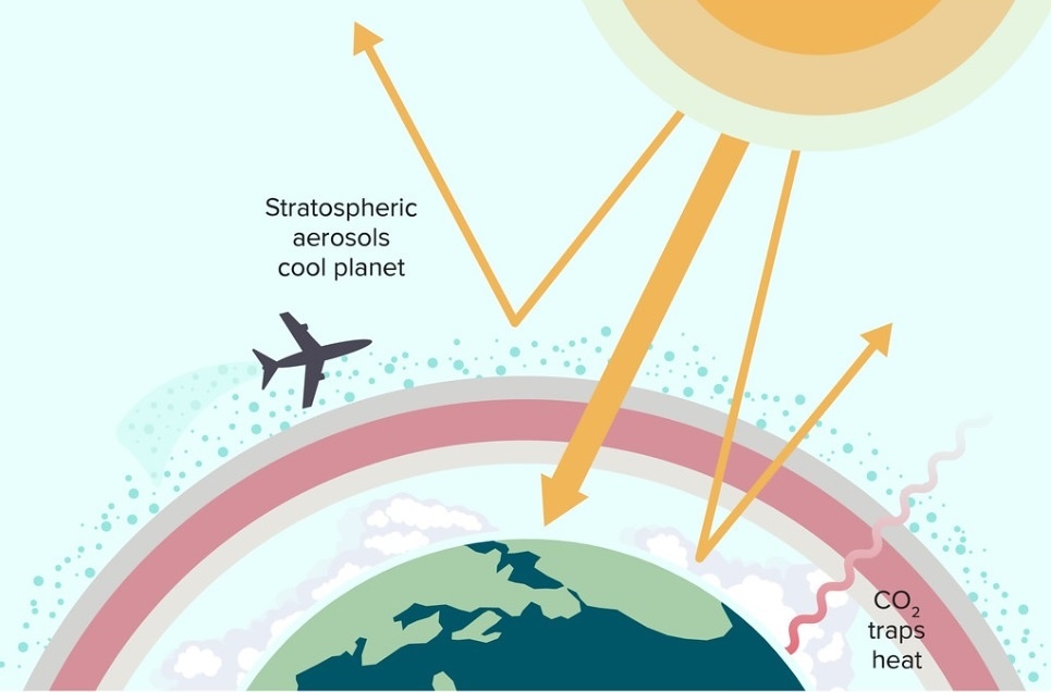 Рисунок: Knowable Magazine