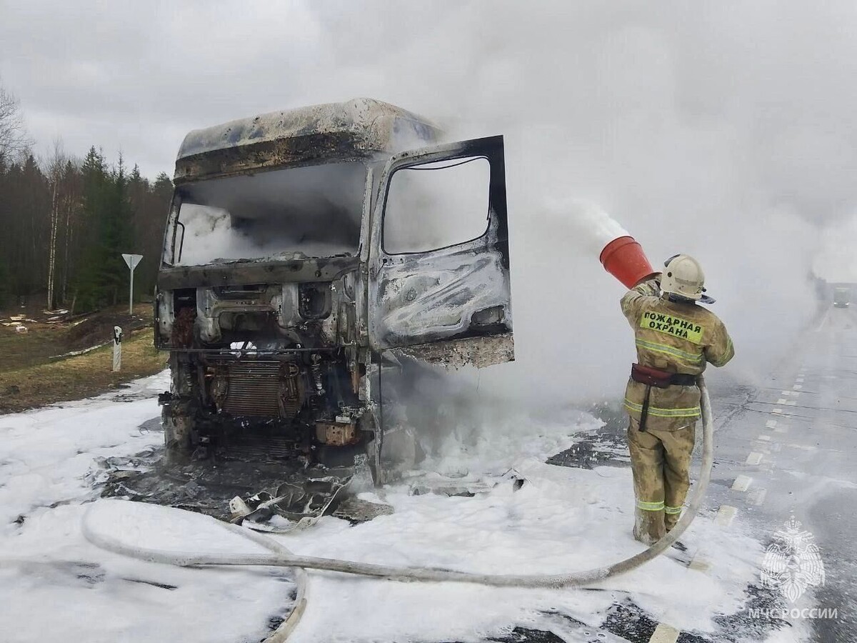     Источник: t.me/МЧС Удмуртии