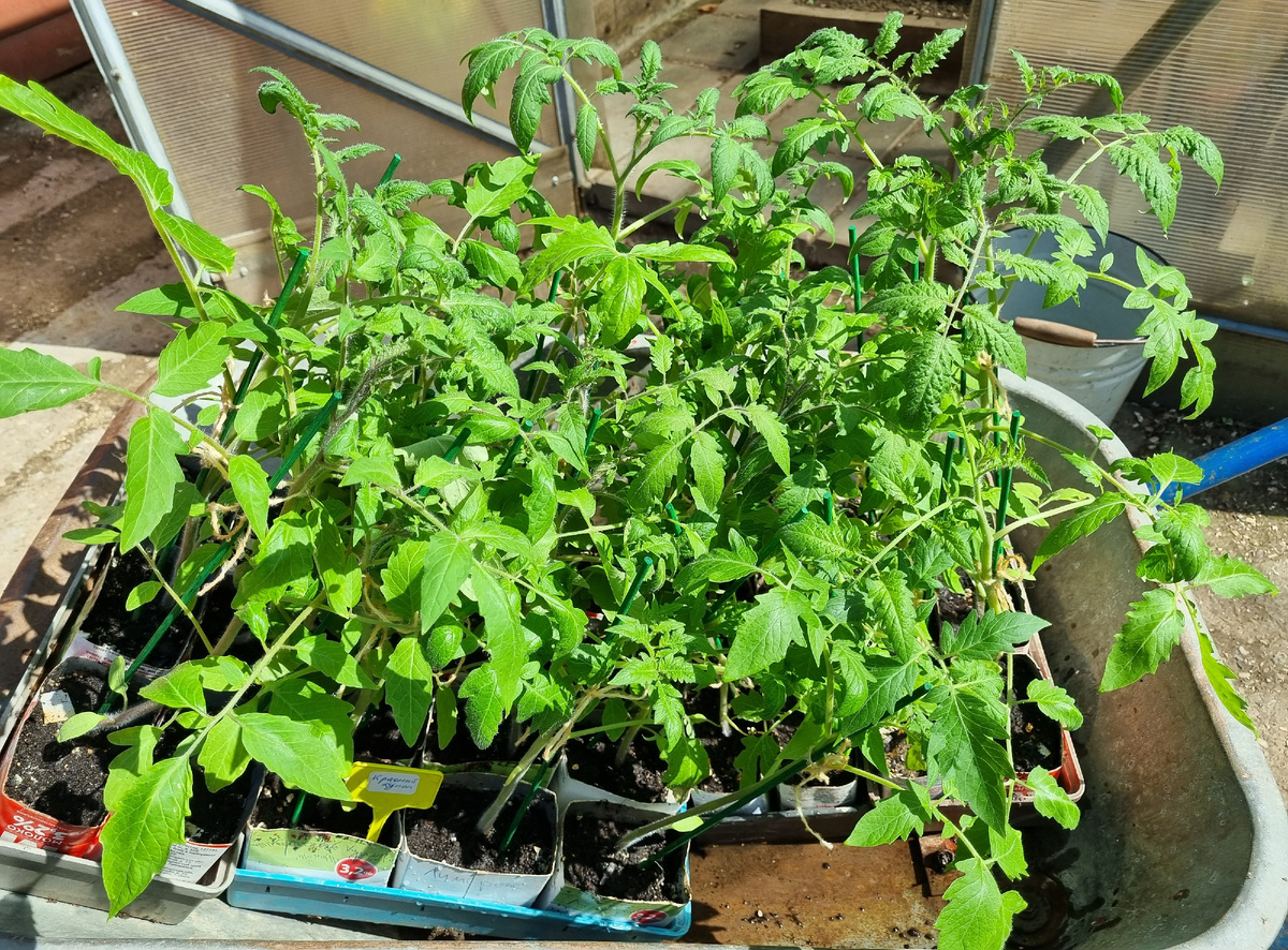 Фото автора.