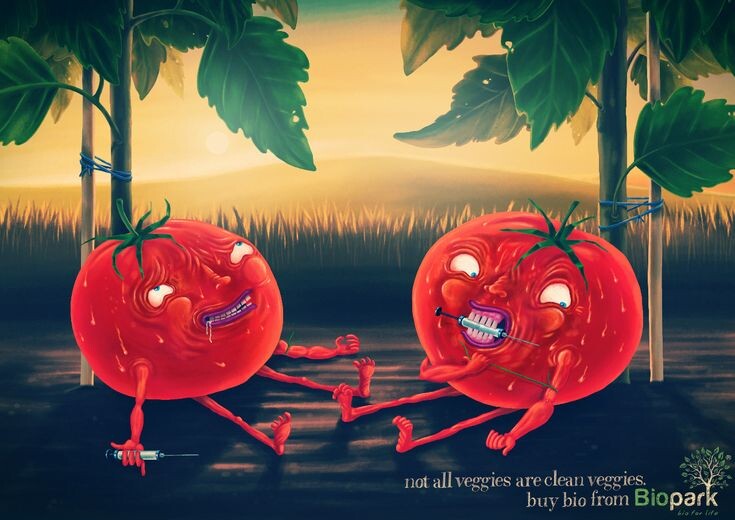 Томаты  спело- красные ребята