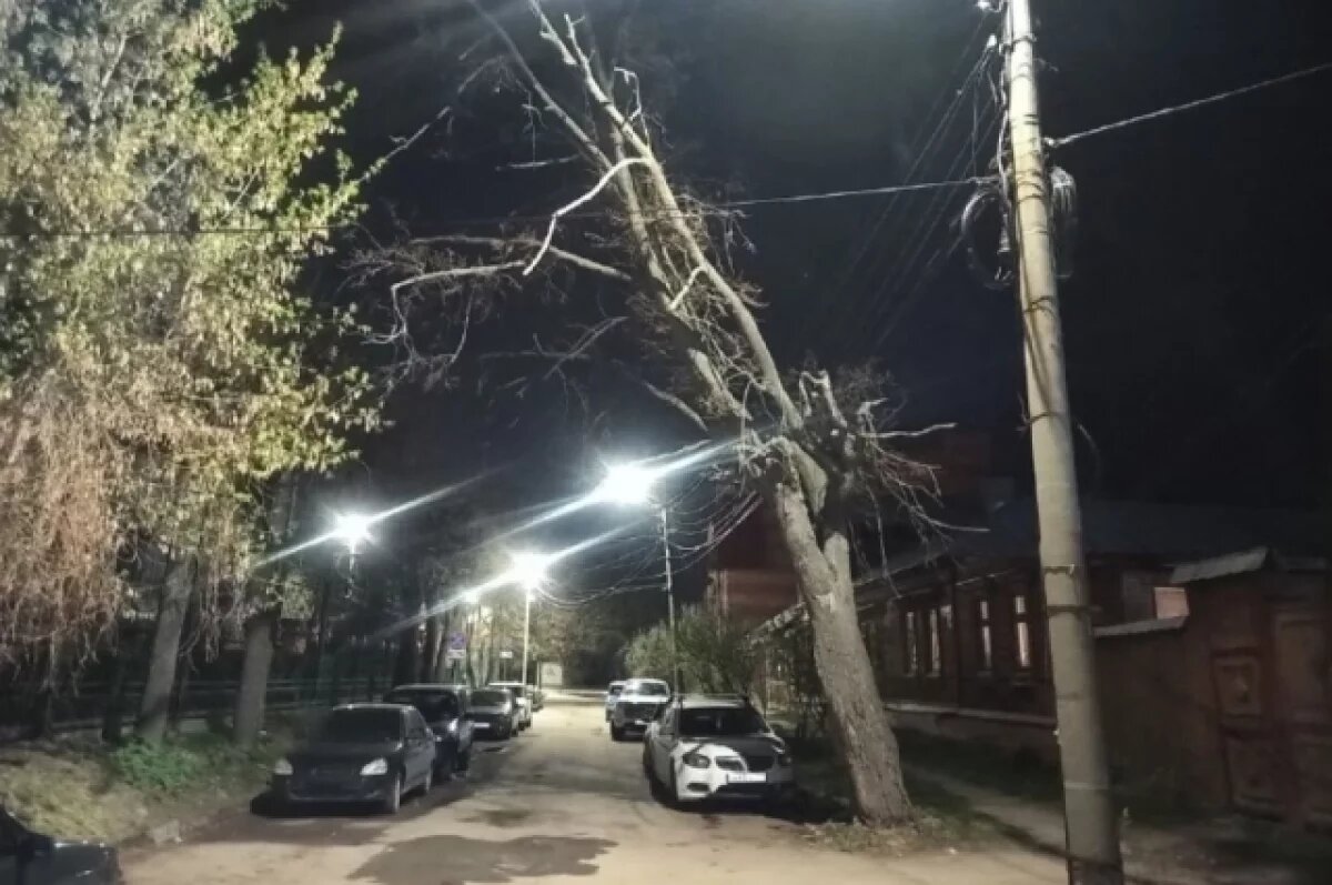    За последние дни дерево сильно наклонилось, ствол растрескался – в любой момент старая липа может рухнуть. Чем закончится такое падение, никто предсказать не сможет...